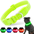 LED Light-Up Dog Collar – Green (Small)