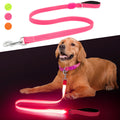 Water proof light up dog leash.