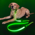 Light up LED leash for walking at night.